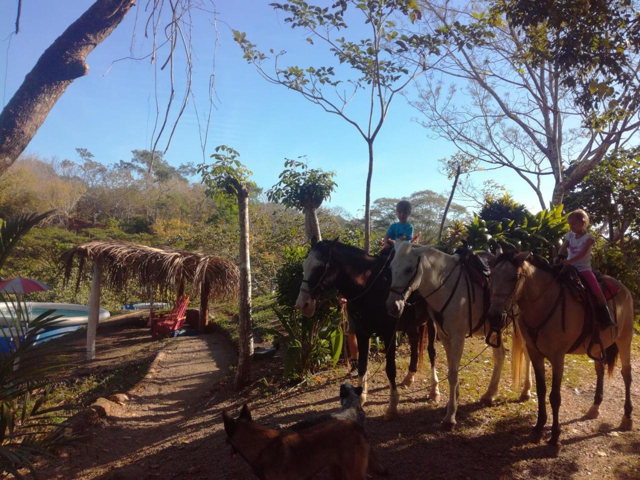 Lodge Fidelito Ranch &